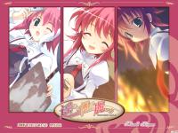 ���g���_