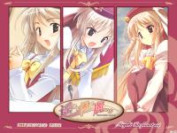 �L���ߤ��